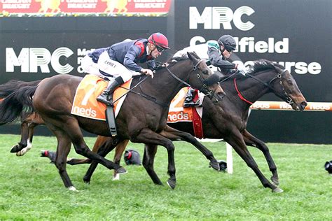 pb lawrence stakes